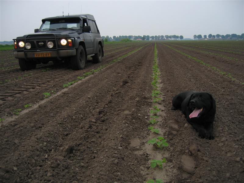Leon Vissers Vissers aardbeiplanten BV America (12).JPG